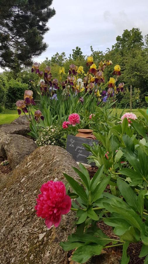 La Grange D'Helene Bed & Breakfast Cholet Eksteriør bilde